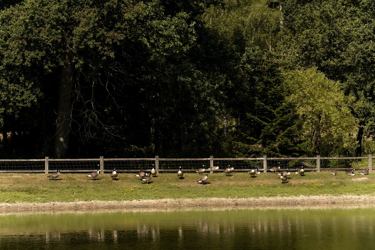 Parc du Domaine