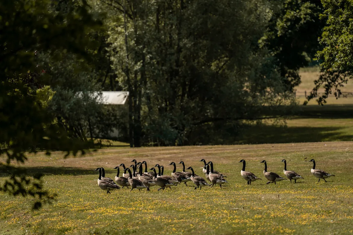 Parc du Domaine