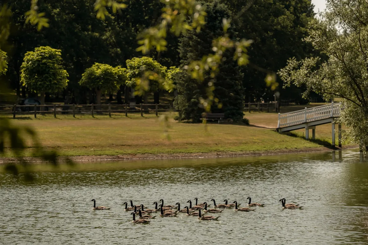 Etang de l'île de cérémonie