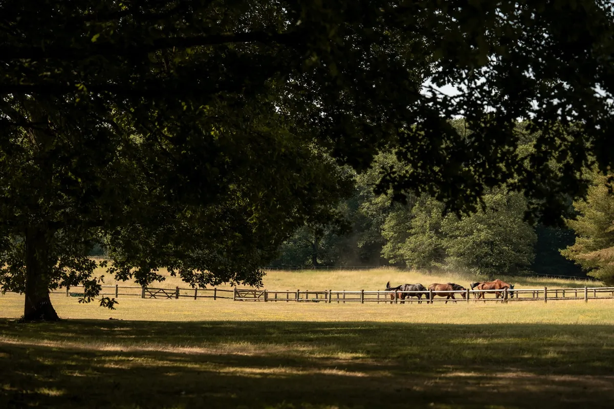 Parc du Domaine