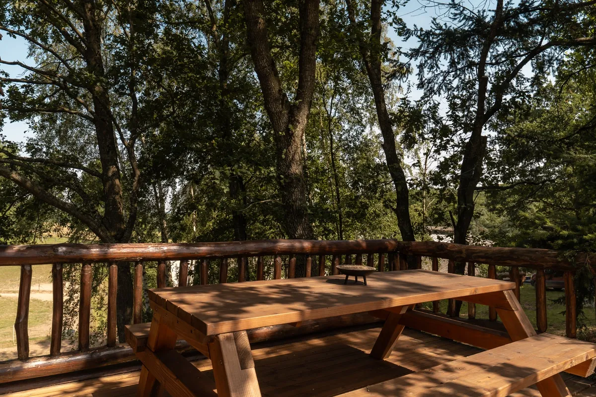 Chalet Savoyard