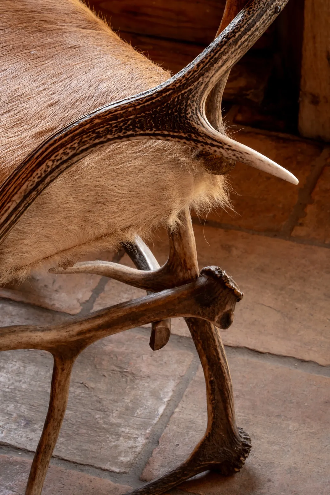 Chaise du Chalet Canadien