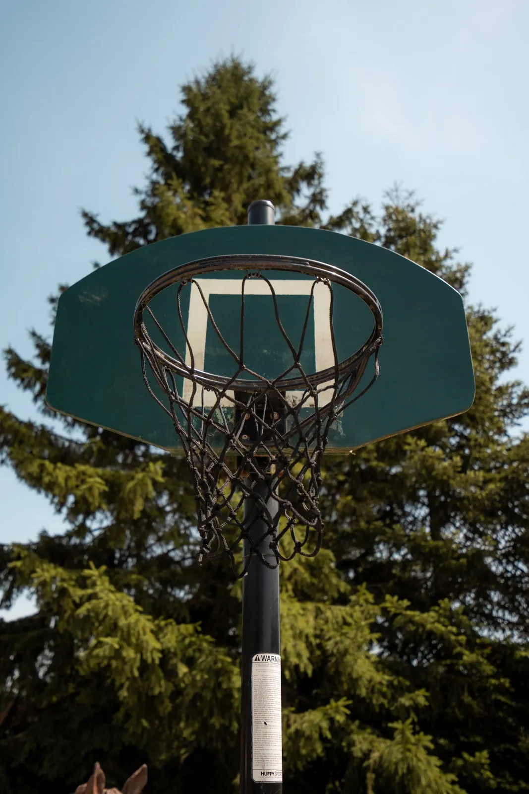 Salle Séquoia Terrain de Basket