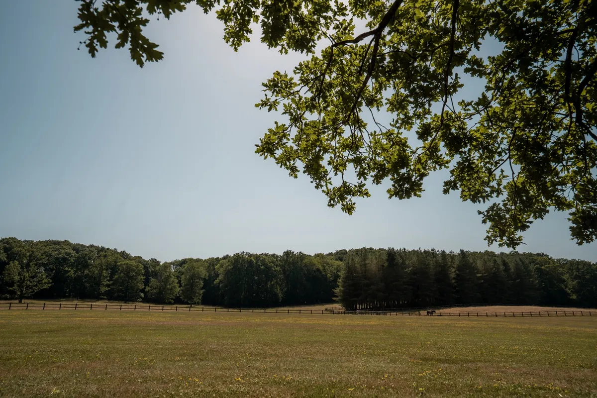 Parc du Domaine