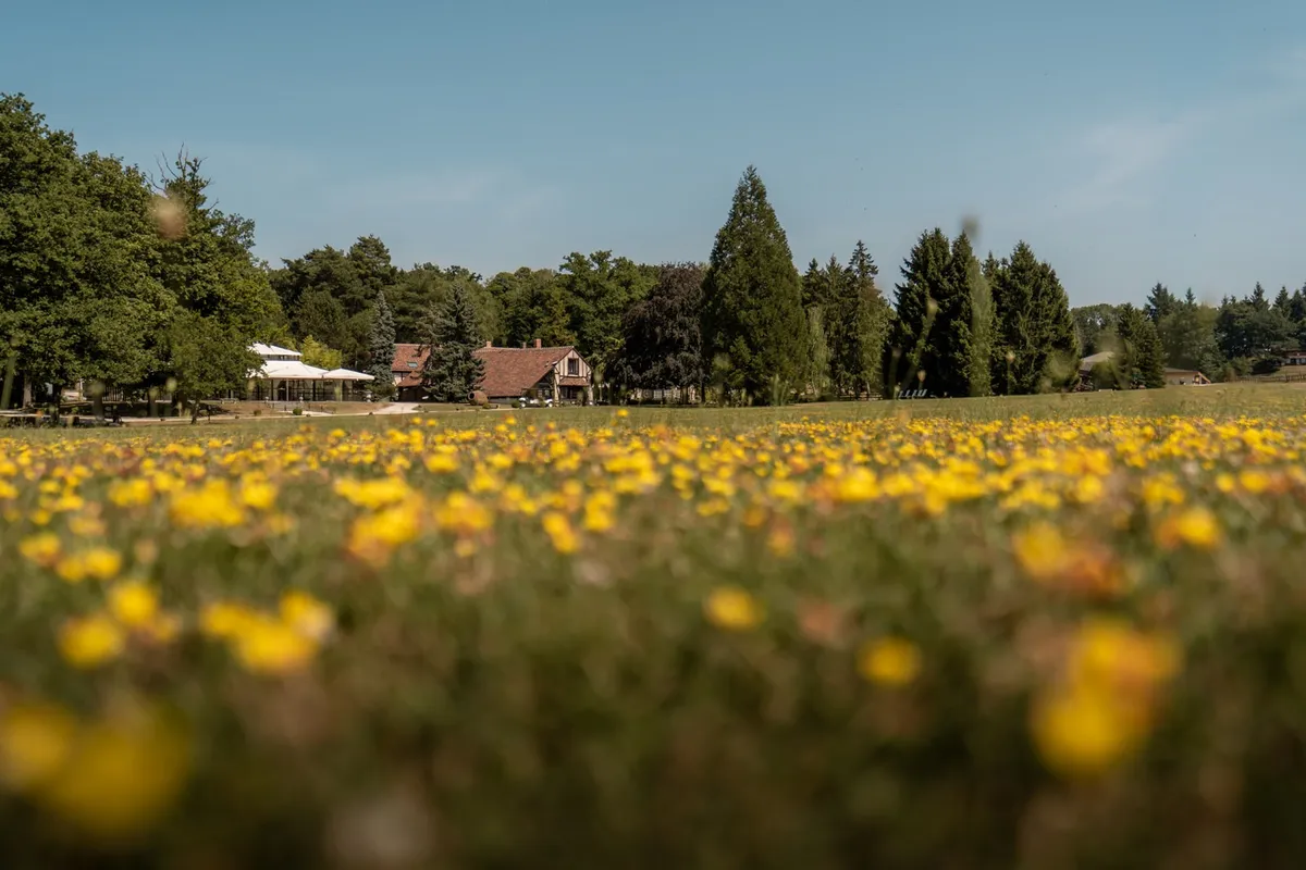 Parc du Domaine