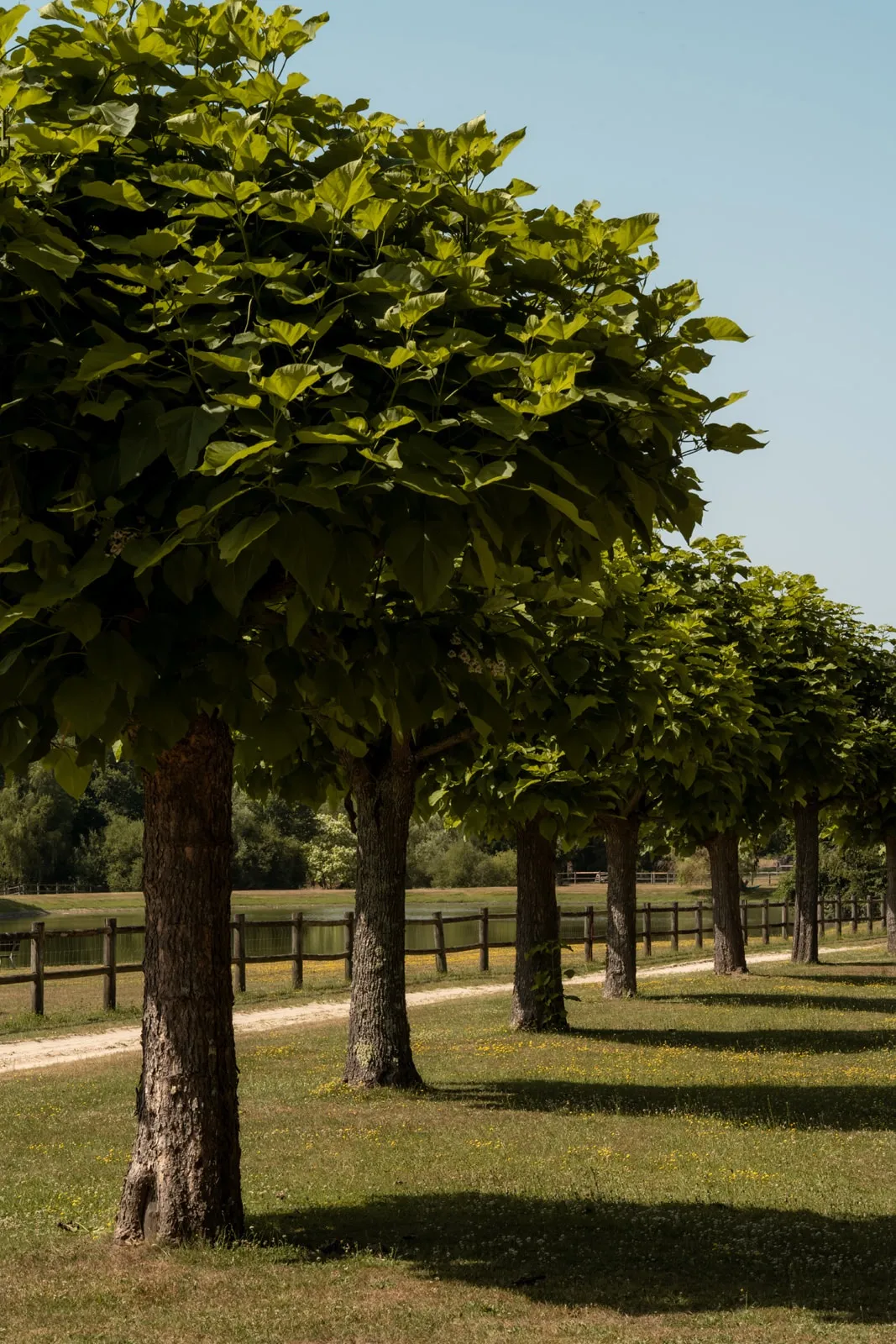 Parc du Domaine