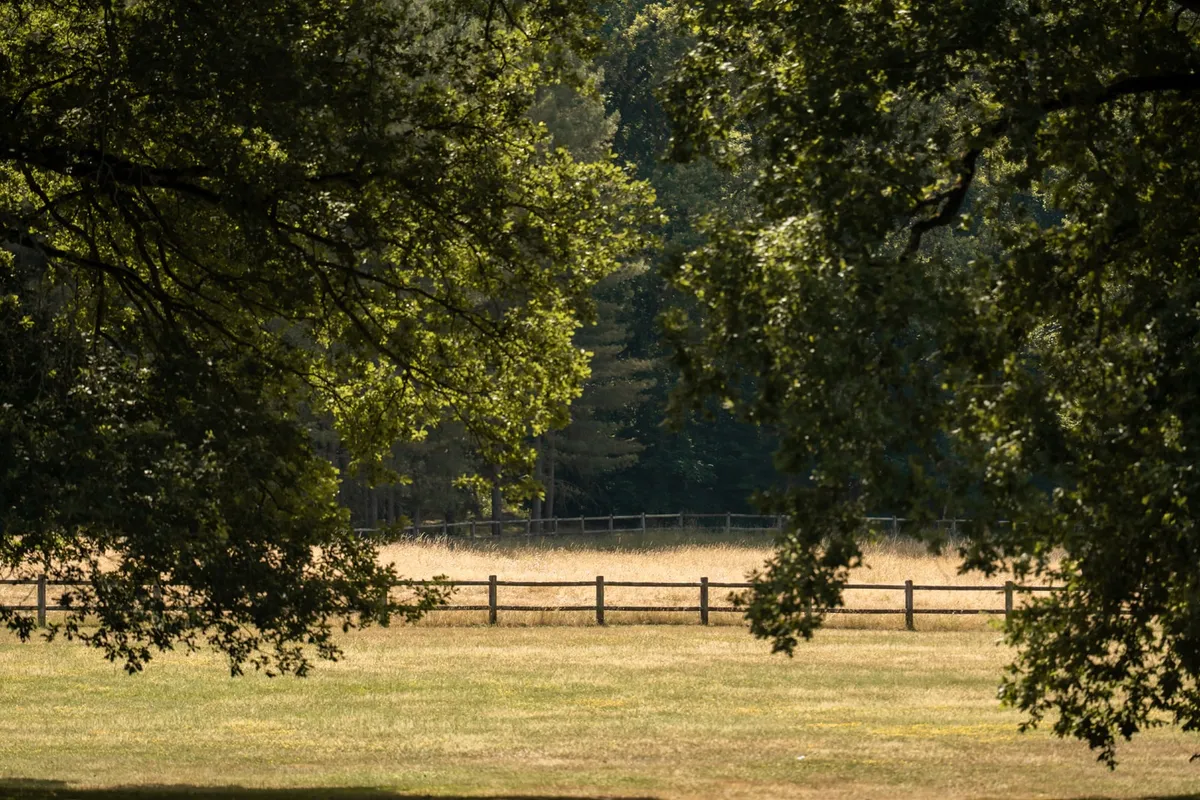 Parc du Domaine