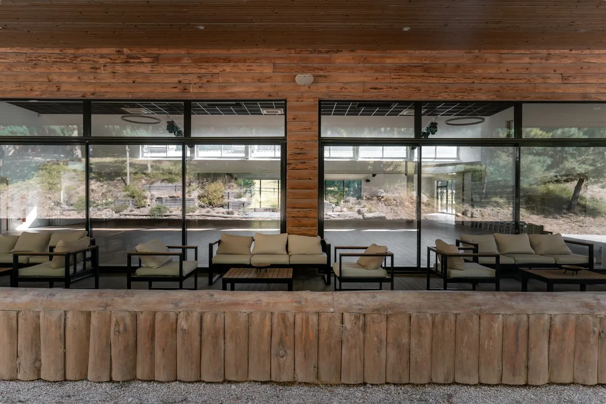 Terrasse de la Salle Sequoia