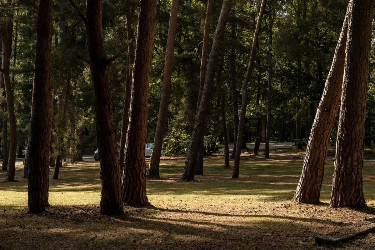 Parc