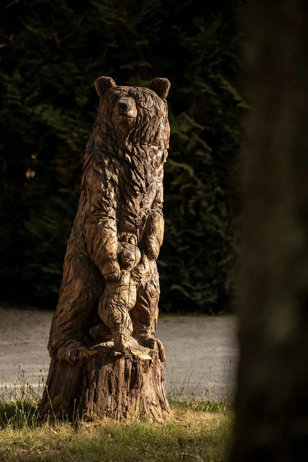 Statut dans le Parc