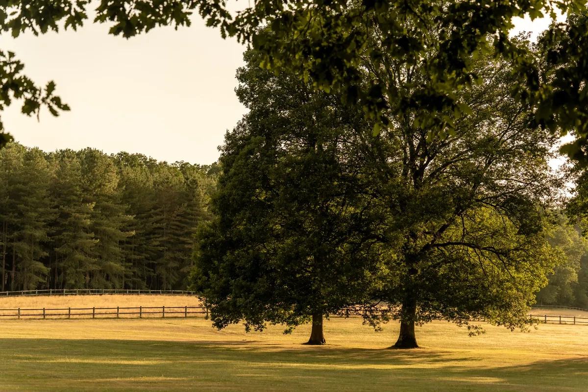 Parc du Domaine