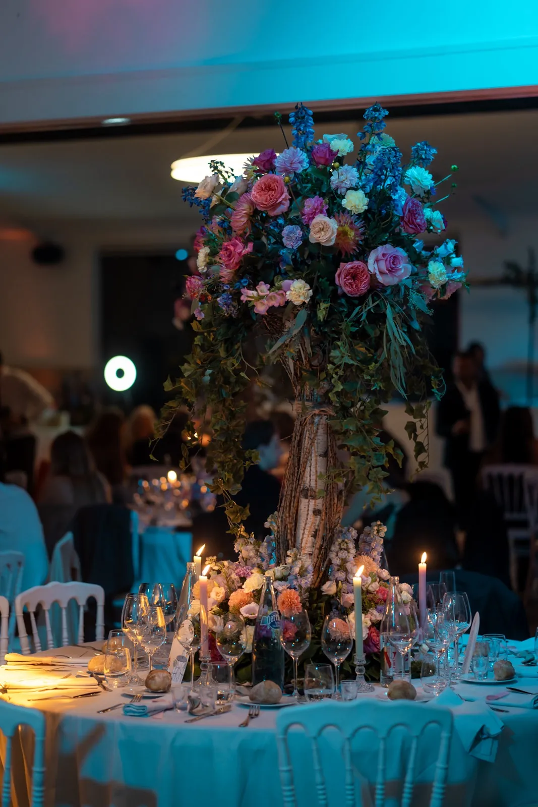 Décoration Salle Sequoia