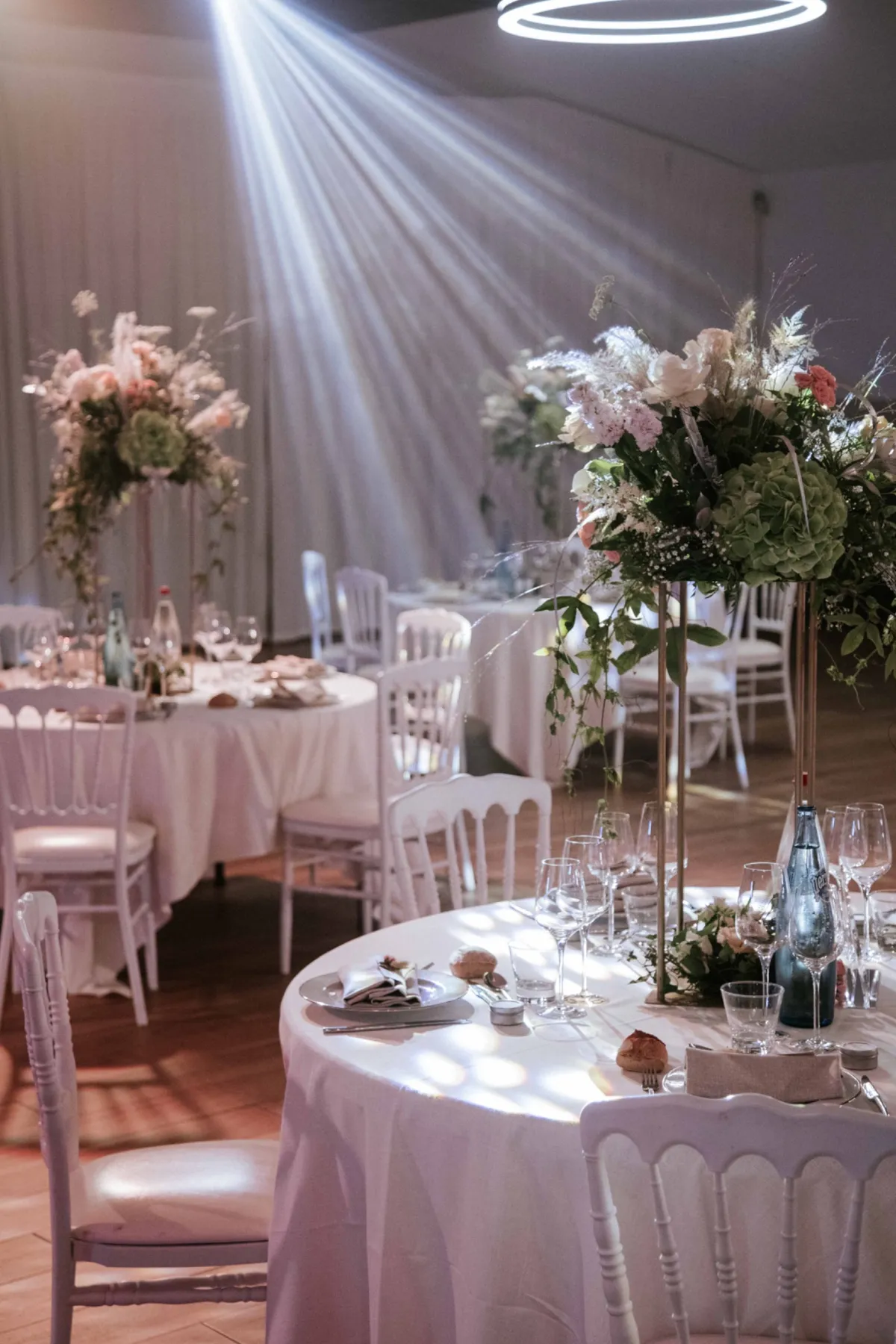 Décoration Salle Sequoia