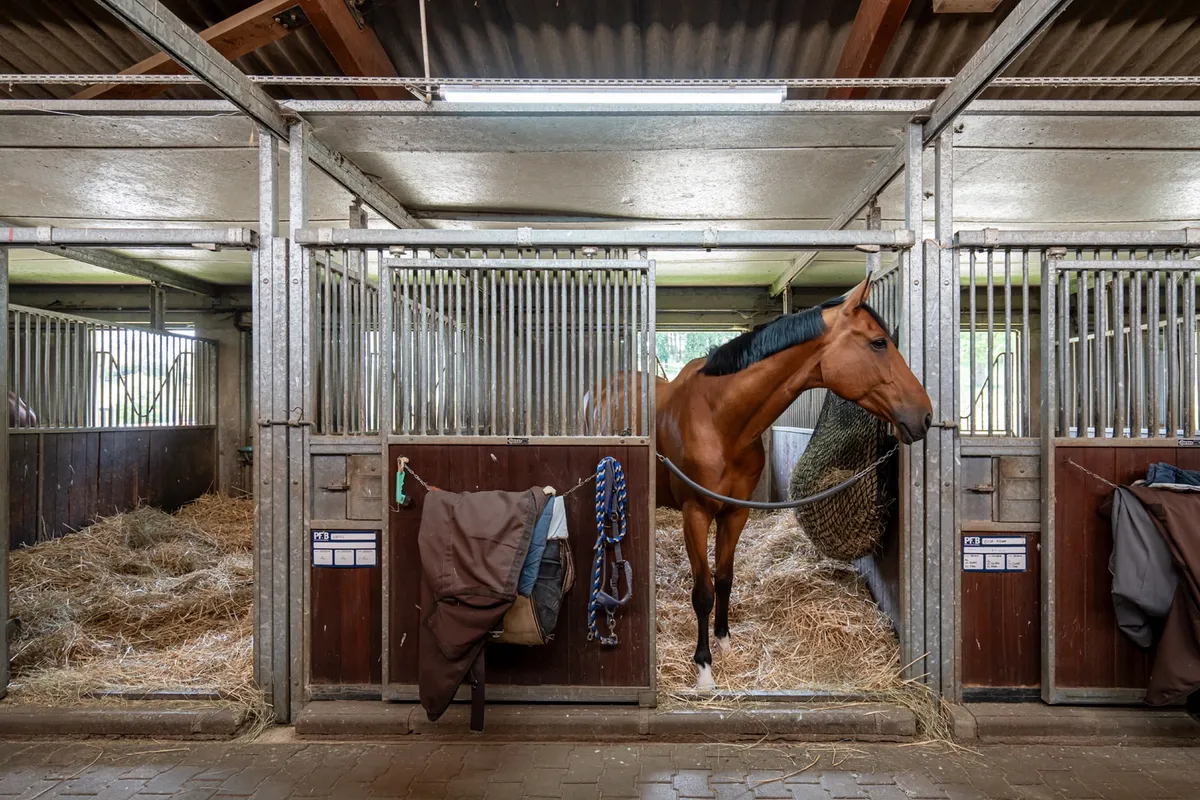 Haras