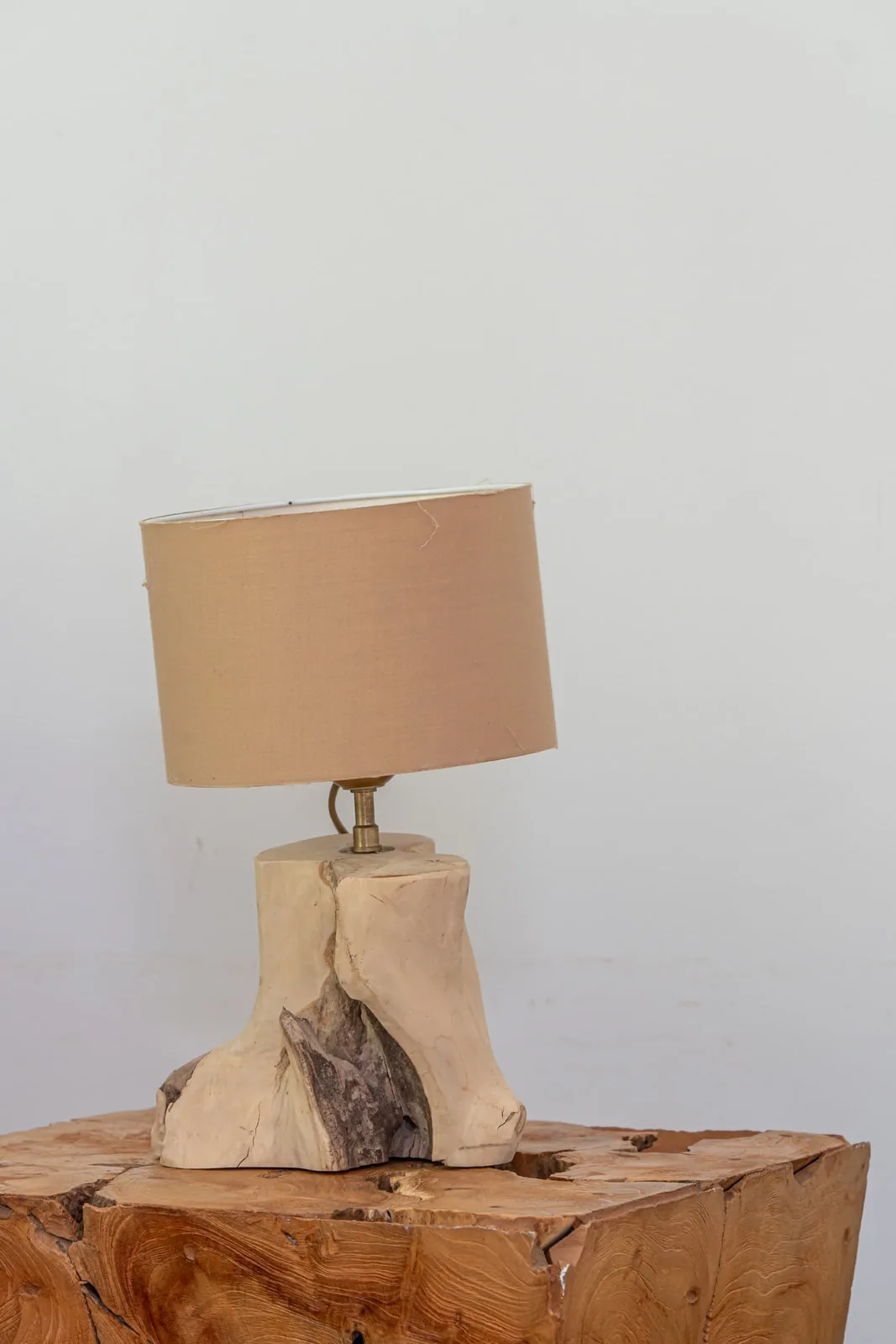 Studio Trotteur — photo 4
